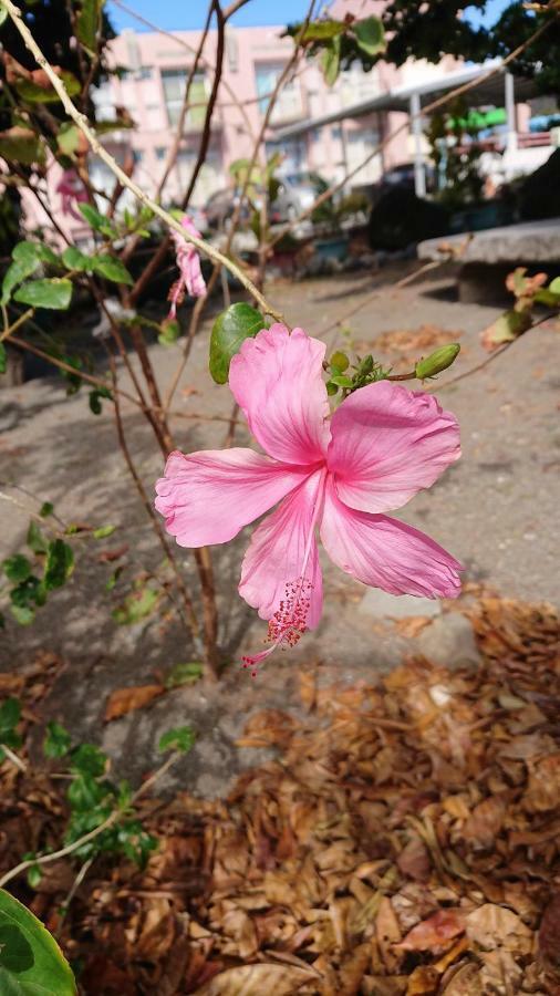 קנטינג Ching Ji Ming Inn מראה חיצוני תמונה